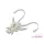Delphin B! Stinx Nympha Pearl 2,5cm Vaba 20 kos