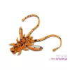 Delphin B! Stinx Nympha Fruity 2,5cm Vaba 20 kos