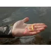Delphin Fly Bung Trout Műlégy Készlet 10db