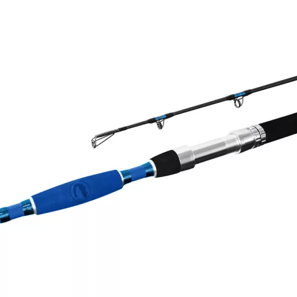 Delphin Hazard 2,55m 500gr 2-delna somarska palica