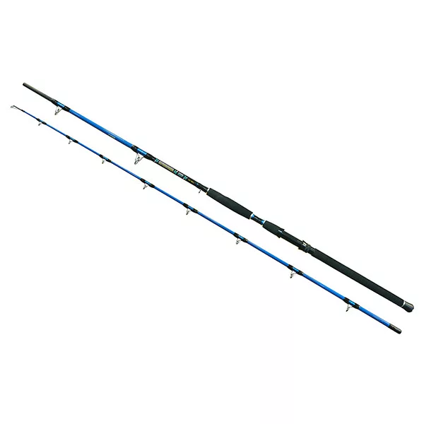 Wizard Cat Pro Power 2-delna 800-1000gr 3,00m palica za lov soma