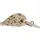 Rapture Pro Hot Buzz Area S LDT 2,5cm 3gr Vobler