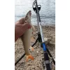 Team Feeder By Döme Big River 300 RXH 100-250g Palica za feeder