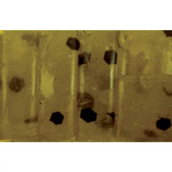 Rapture ULC Alien Craw 2.5cm 0,5gr Watermelon Mehka gumijasta vaba 12 kosov