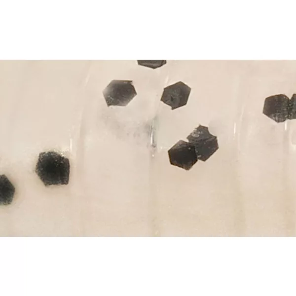 Rapture ULC Cricket 3,3cm 1gr Pearl Blue Mehka gumijasta vaba 8 kos