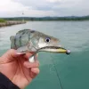 Reiva Ultra Strong Jig Head 28gr 6/0 Jigfej 3db