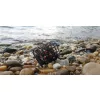 Nevis Rečna Feeder Košara 80g