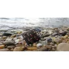 Nevis River 150gr Stranski krmilnik