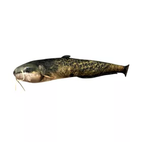 Ribja Blazina Som