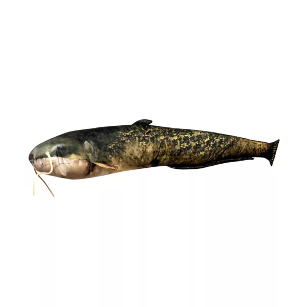 Ribja Blazina Som