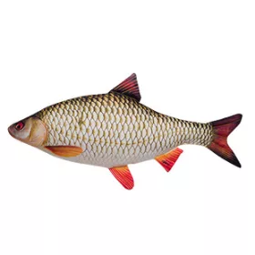 RIBJA BLAZINA BODORKA