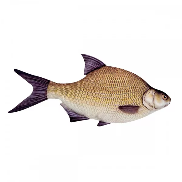 Ribiška Blazina Plotec 34Cm