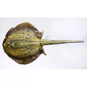 EnergoTeam Blazina The Bluespotted Stingray 85cm Ribe