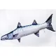 EnergoTeam The Barracuda 110cm Ribja Blazina