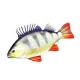 EnergoTeam The Monster Perch 160cm Ribja Blazina
