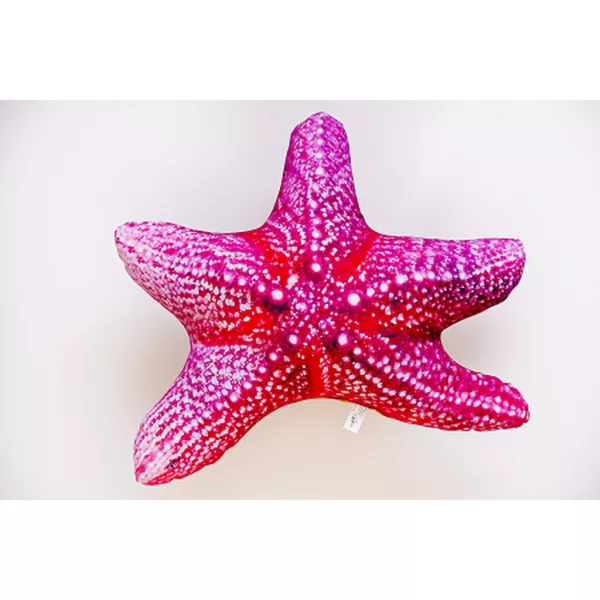 EnergoTeam The Starfish 55cm Ribeča Blazina