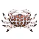 EnergoTeam The Calico Crab 60cm Ribja Blazina