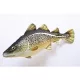 EnergoTeam The Cod 38cm Ribja Blazina