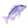 EnergoTeam The Dentex 80cm Ribja Blazina