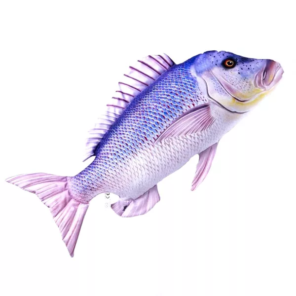 EnergoTeam The Dentex 80cm Ribja Blazina