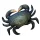 EnergoTeam The Mud Crab 60cm ribja blazina