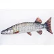 EnergoTeam The Muskellunge 80cm Blazina za ribe