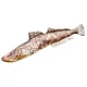 EnergoTeam The Flathead 97cm Ribja Blazina
