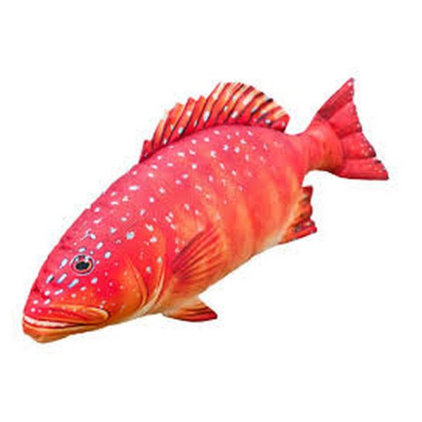 EnergoTeam The Coral Trout 81cm Ribja Blazina