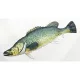 EnergoTeam The Murray Cod 100cm Blazina za ribe