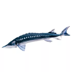 EnergoTeam The European Sturgeon 36cm Ribja Blazina