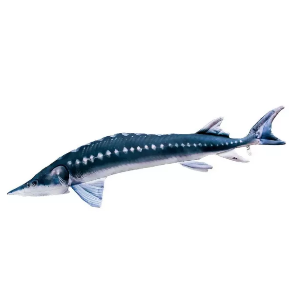 EnergoTeam The European Sturgeon 36cm Ribja Blazina