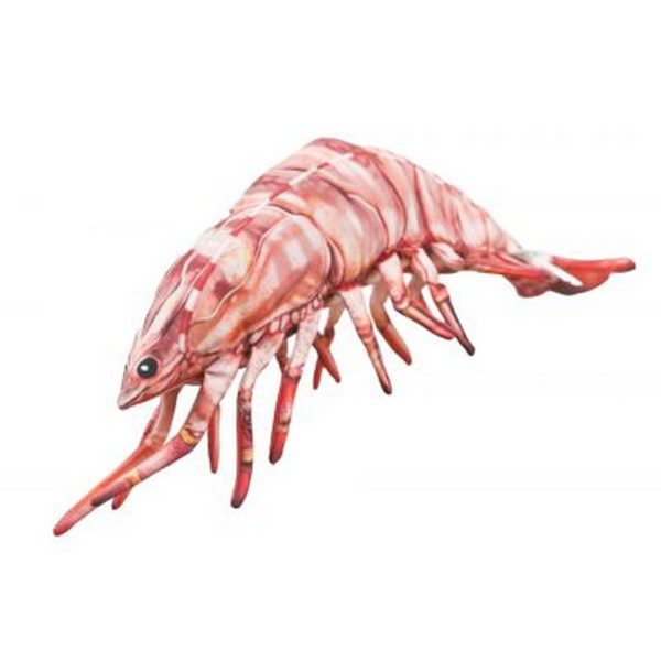 EnergoTeam The Tiger Prawn 65cm Ribe Blazina