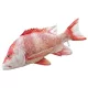 EnergoTeam The Red Emperor 80cm Ribiška blazina