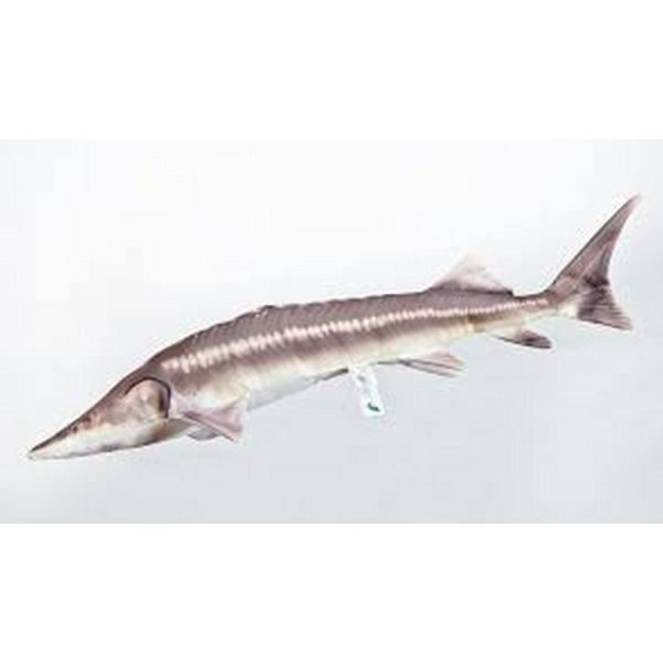 EnergoTeam The Sterlet Sturgeon New 60cm Ribiška Blazina