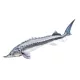 EnergoTeam The Beluga Sturgeon 140cm Ribiška Blazina