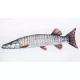EnergoTeam The Monster Muskie 200cm Ribja Blazina