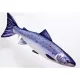 EnergoTeam The Monster Atlantski Losos 200cm Ribja Blazina