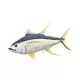 EnergoTeam The Monster Yellowfin Tuna 160cm Ribiška Blazina