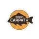 Samolepilno Delphin CARPATH 95x75mm