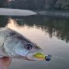 Reiva 0,30mm 40cm Fluorocarbon Predvez 2db