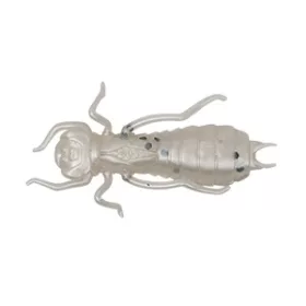 Wizard LARVA COL. 001 6PCS/BAG Gumijasta vaba