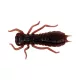 Wizard LARVA COL. 005 6PCS/BAG Gumijasta vaba