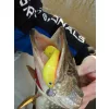 Nevis Twister Shad Vantage 9cm 6,56gr 3kos/pak /rumene-bleščice/ Plastična vaba