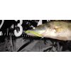 Reiva Zander Power Shad 10cm 7,05gr 4db/cs (Črno Srebrna) Plastična vaba