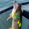 Reiva Powerflex Spinnerbait 28gr R Posebna vaba