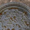 Avid Large Hookbait Pot Csalis Doboz 7x7x8cm 4db