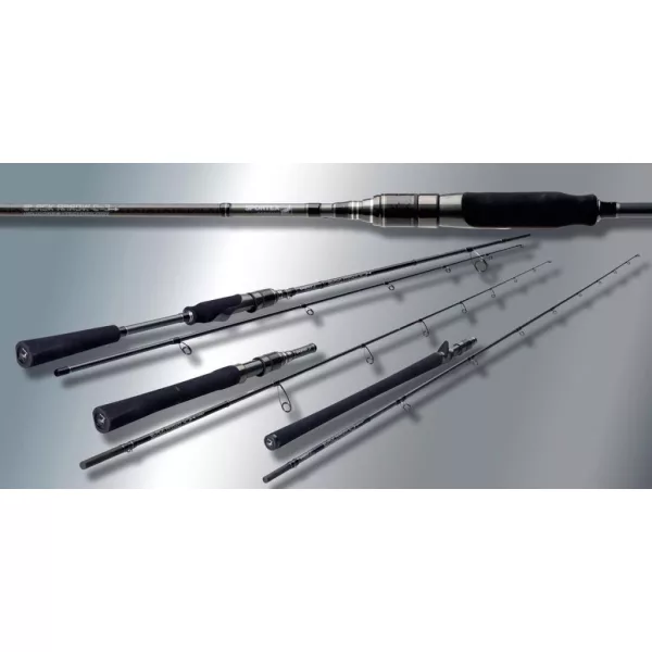 Sportex Black Arrow G-3 Baitcast 2,55m 100gr 2-delna Casting Vrtilna palica