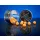 BaitBait Tüzes Barack 8mm Fluo Pop Up 20gr