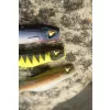 Black Cat Mega Curl Tail Shock Perch 22cm 29gr Plastična vaba