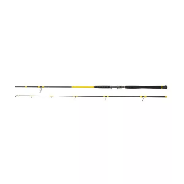 Black Cat Freestyle Pro Spin 50-180gr 2,70m 2-delna palica za lov soma